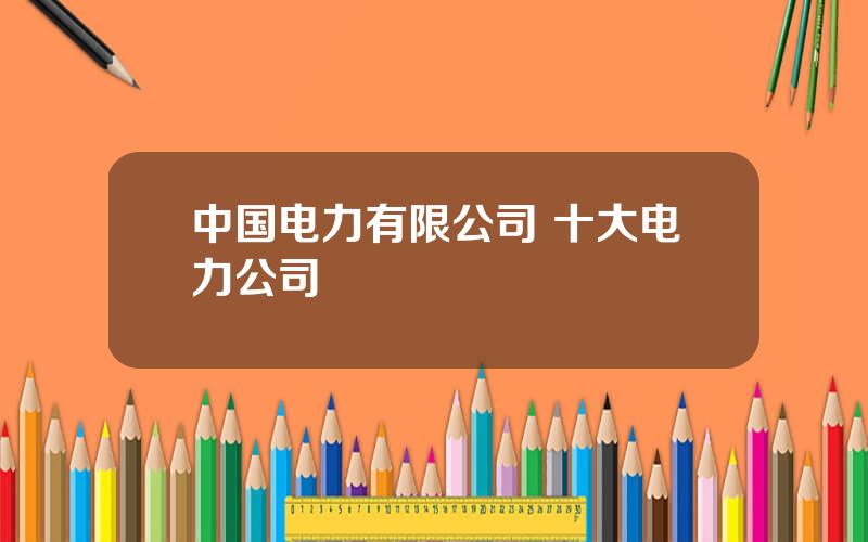 中国电力有限公司 十大电力公司